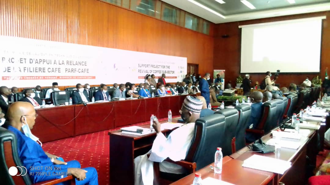 Cameroun- Filière café : La relance sur la bonne voie 3