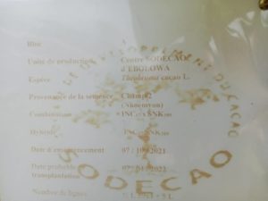Caractéristiques de l'espèce disponible