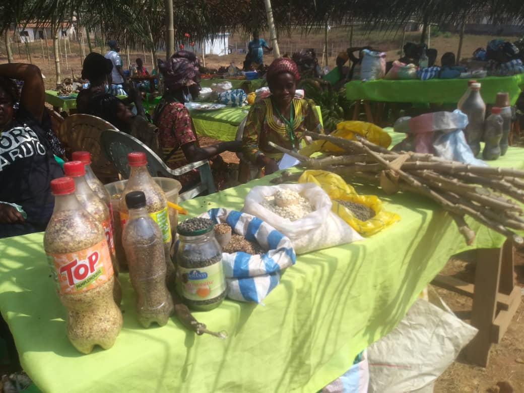 Cameroun- Redynamisation de l'agriculture en milieu rural : La FOSPAC 2 tient ses promesses 1