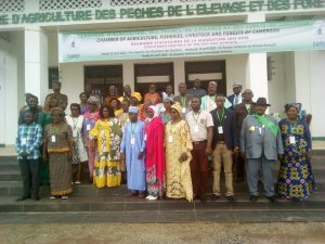 Cameroun- Crise alimentaire : Au cœur de la 01ère session de la section agricole 4