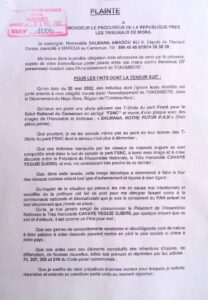 Cameroun-Succession à la tête de l'Assemblée nationale : Ils tentent de retourner le PAN contre l'Hon. Salmana 6