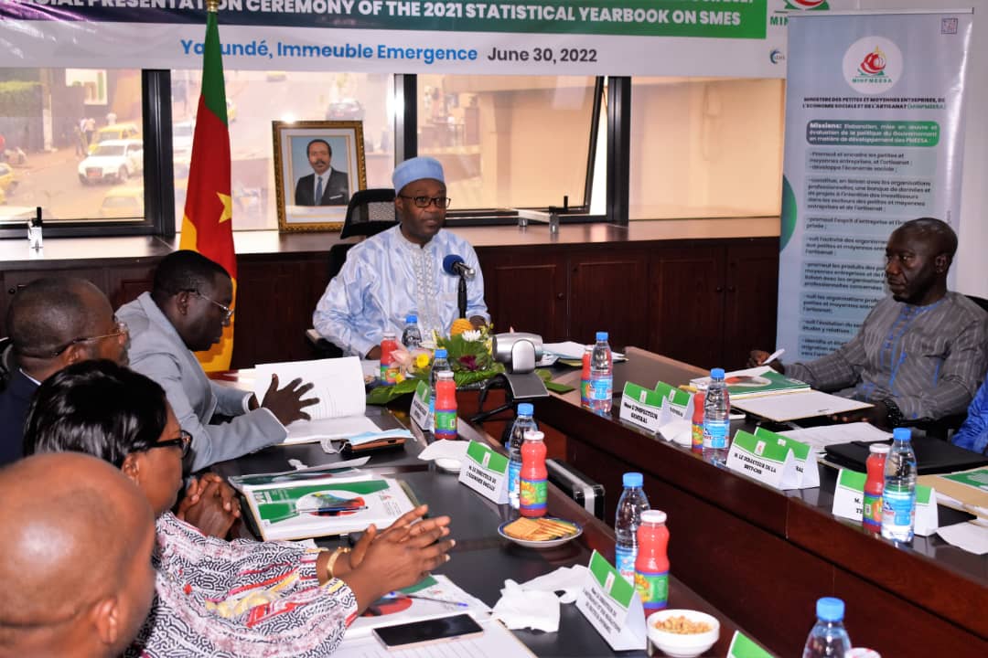 Cameroun- Situation démographique des PMEESA : l’annuaire statistique 2021 du MINPMEESA disponible 1