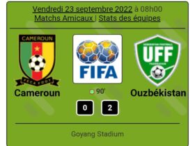 Préparation Coupe du monde Qatar 2022: le Cameroun perd son premier match amical 9