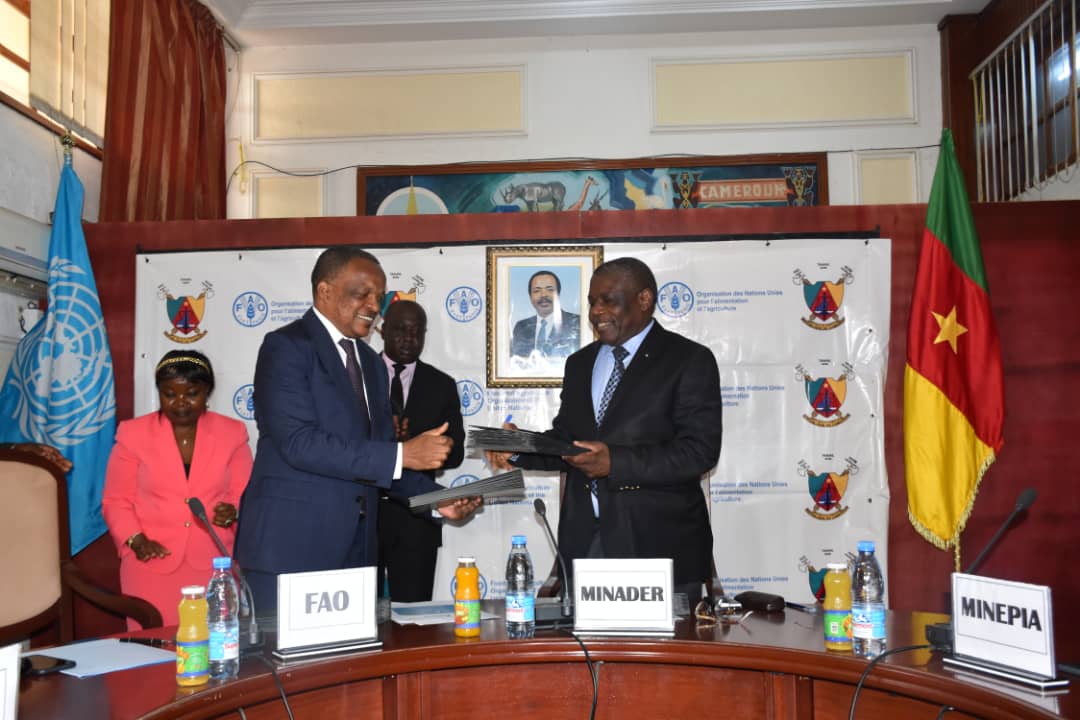 Mise en oeuvre de l'initiative "Hand in Hand": le Cameroun et la FAO en accord 1