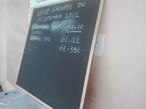 Cameroun- Pratique de la Cacaoculture : la révolution s'opère dans le Sud 6