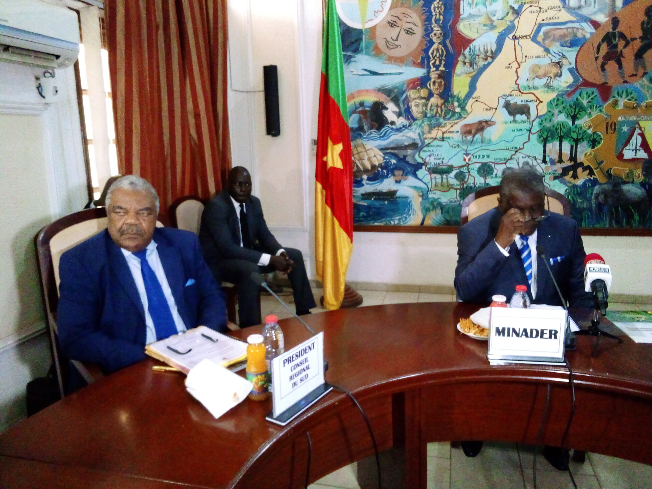 Fête internationale de la banane plantain: le Sud Cameroun accueille la première édition 1