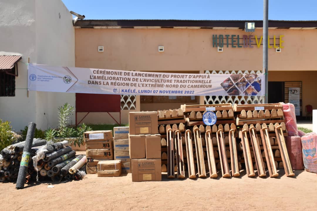 Cameroun- Développement de l’aviculture traditionnelle: Au coeur d'un accompagnement de la FAO  à l’Extrême-Nord 1