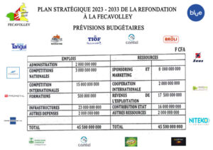 Election à la Fecavolley- Julien Serge Abouem annonce sa candidature 9