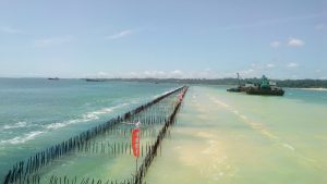 Cameroun- comprendre les goulots qui plombent l'attractivité et la compétitivité du Port Autonome de Kribi 13