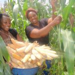 Cameroun- Financement des TPME du secteur Agricole et Agro industriel: Vers la création du « Cameroon SDG One Fund Platform » 4