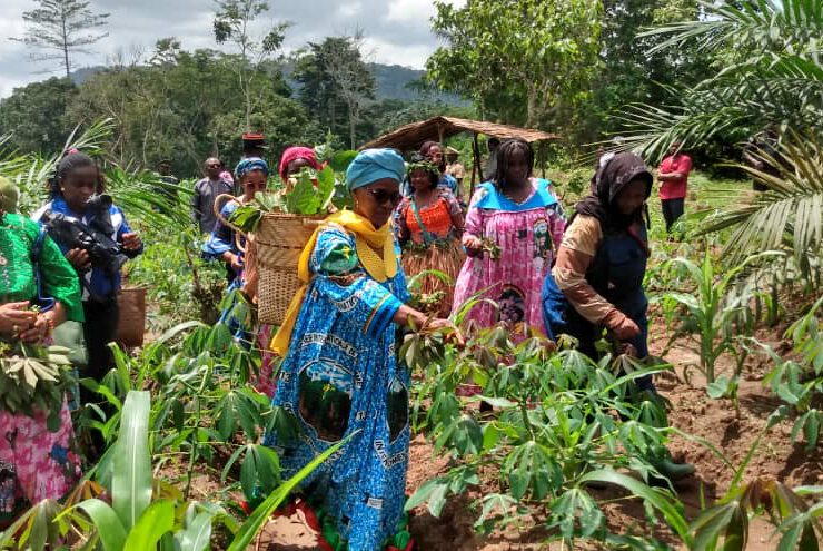 Cameroun- Femmes rurales de Nguila: La Minproff touche du doigt le savoir-faire local 19