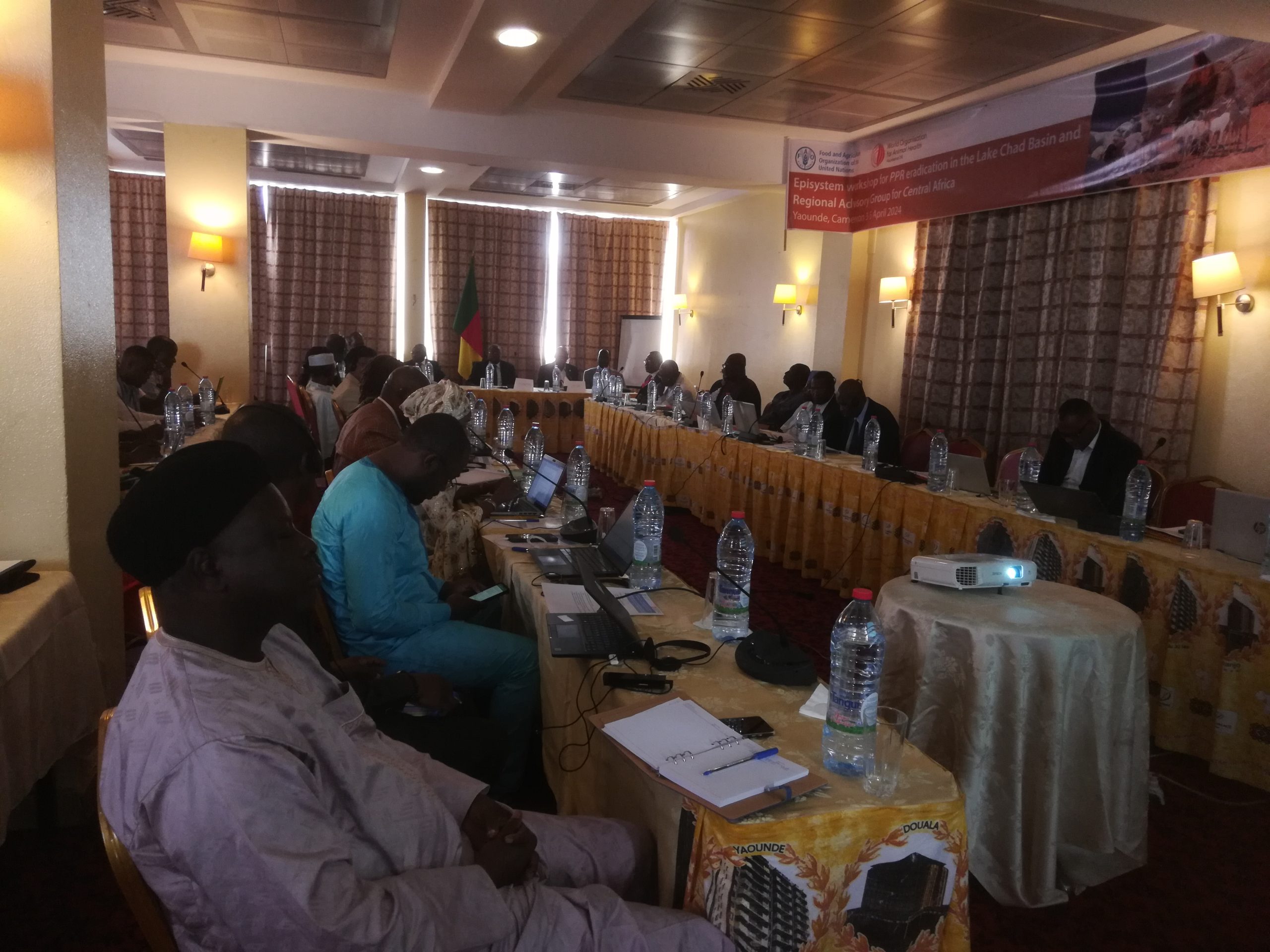 CEMAC– Peste des petits ruminants: Des têtes à sauver 1