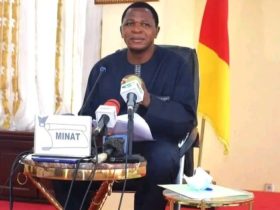 Cameroun-Délivrance et détention des armes à feu et munitions - Paul Atanga Nji met en garde les promoteurs d’armureries 14