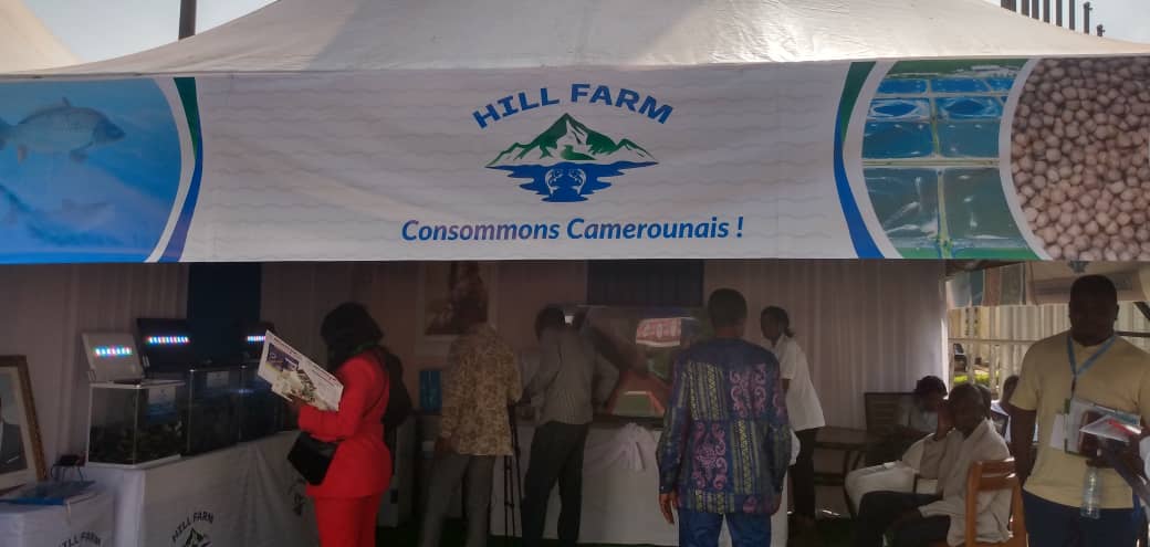 Salon Interprofessionnel de l’aquaculture du Cameroun : Hill Farm : le GIC qui aide les aquaculteurs a réalisé leurs projets 1