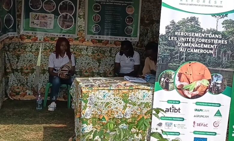 Cameroun - Journée Internationale des Forêts : célébrée au rythme de la sécurité alimentaire 1