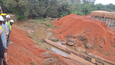 Cameroun - Pont en structures métalliques Acrow sur la rivière Bangue : les travaux rendus à la pose des culées 1