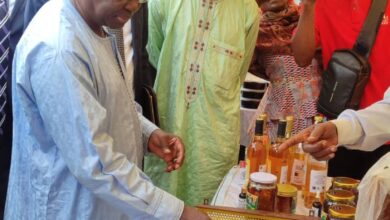 Cameroun- Développement de l’industrie apicole : 53 apiculteurs reçoivent du matériel et équipements de pointes 14