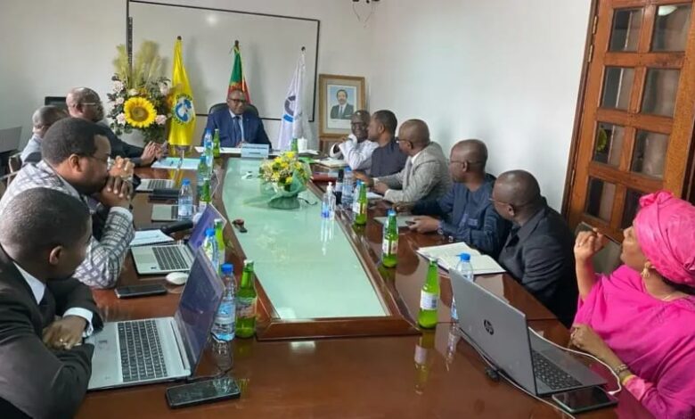 Cameroun - Commerce extérieur : la douane et le Guce font corps pour un marché plus fluide 1