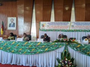 Cameroun- conférence annuelle 2025 du Minproff: l’adéquation entre l’action sociale et la mobilisation des ressources budgétaires au centre des échanges 9