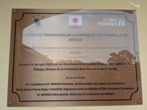 Cameroun-63e édition de la journée Internationale de la Femme Africaine : Un appel à la mobilisation collective pour réparer les inégalités subies par les femmes 7