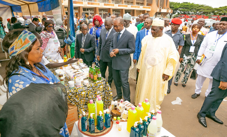 Cameroun - JNES 2025: Pour une économie plus forte et inclusive 1