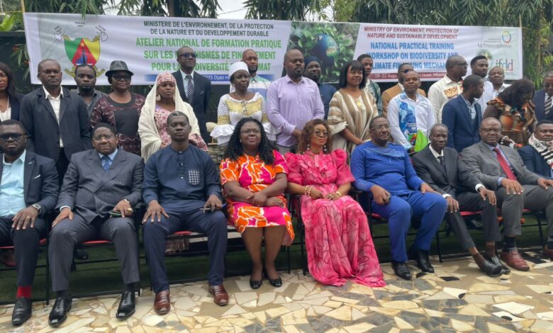 Cameroun - Recherche de financements dédiés à la lutte contre les changements climatiques : le Cameroun se met à niveau 3