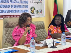 Cameroun - Recherche de financements dédiés à la lutte contre les changements climatiques : le Cameroun se met à niveau 4