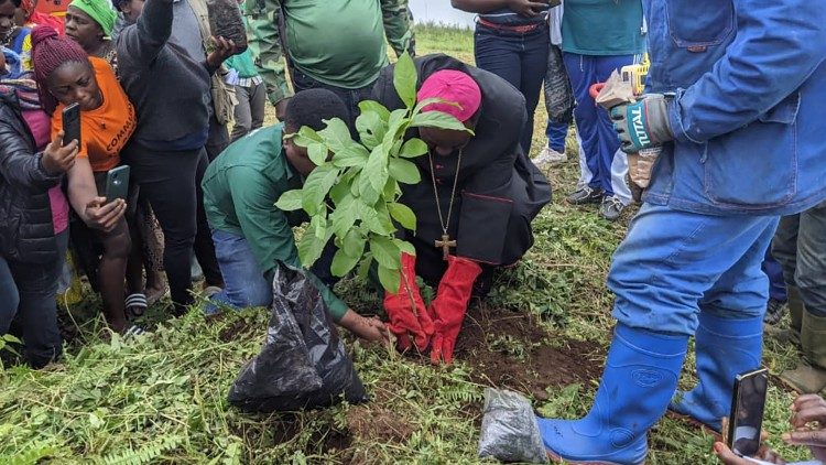 Cameroun - Financement des projets pour la protection de l'environnement : Le Cameroun fait le round UP 5