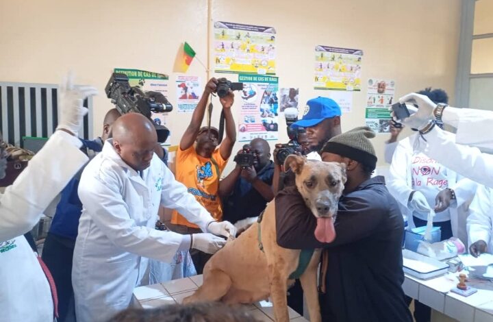 Lancement de la campagne de vaccination contre la rage : Le Cameroun veut éradiquer le phénomène 5