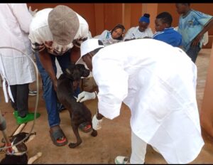 Lancement de la campagne de vaccination contre la rage : Le Cameroun veut éradiquer le phénomène 6