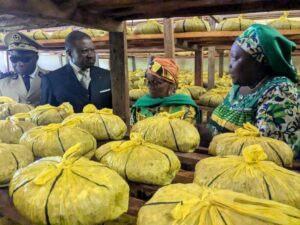 Cameroun - commémoration de la 30e édition de la JMFR : les femmes rurales de Songmbengue entre talents et doléances 12