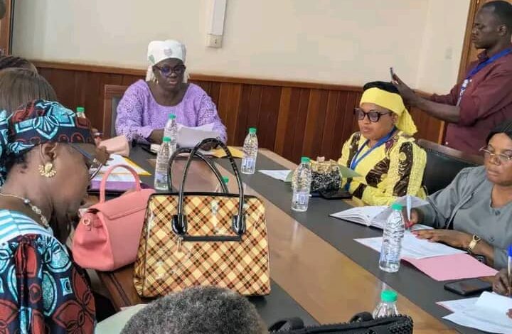 Cameroun - Réunion Préparatoire pour le Lancement de la Campagne "16 Jours d'Activisme contre les Violences Faites aux Femmes" 5