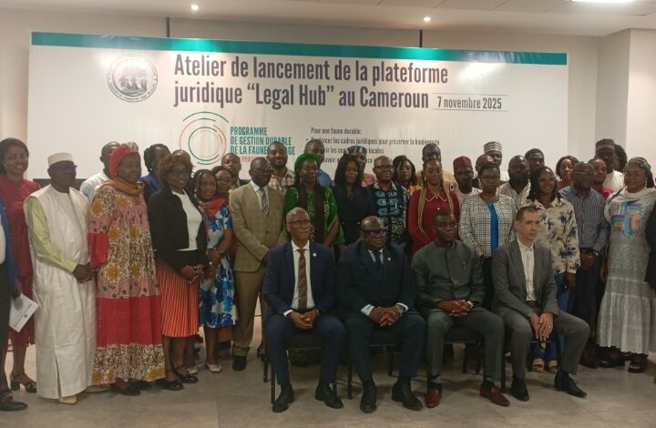 Cameroun- Droit de la gestion durable de la faune sauvage : La plateforme juridique « Legal Hub » officiellement lancée 5
