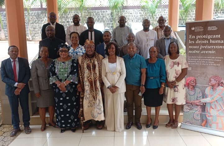 Droits de l’Homme et Entreprises : Le Cameroun fait le point 3