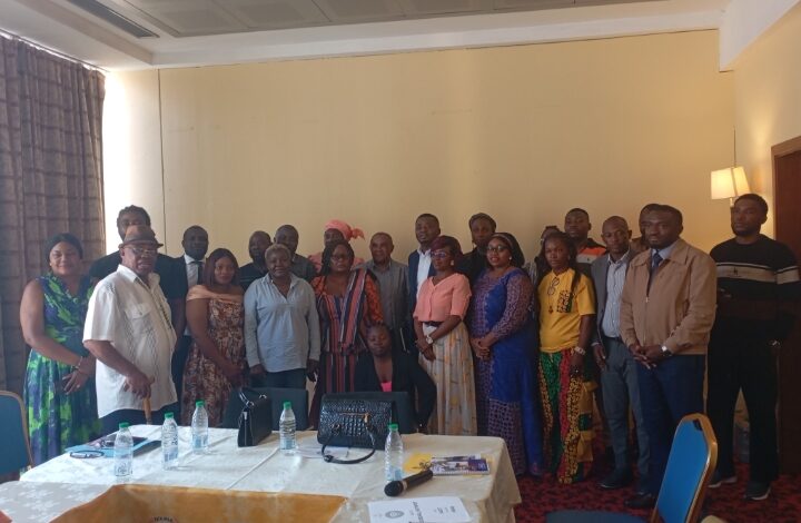 Cameroun -Elaboration du Plan de mitigation nationale : Affirmative Action et autres OSC de la taskforce formulent un plaidoyer au gouvernement 3