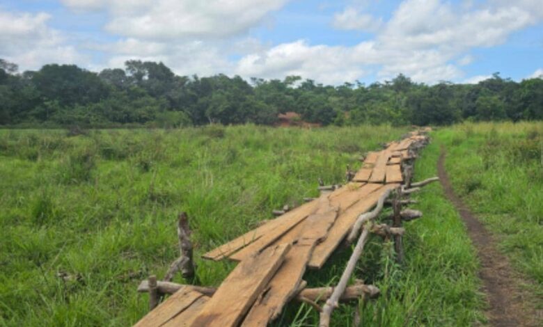 Cameroun - Plan Intégré d’Import-Substitution Agropastoral et Halieutique : le MINTP identifie 13 axes routiers dans l’Adamaoua 25