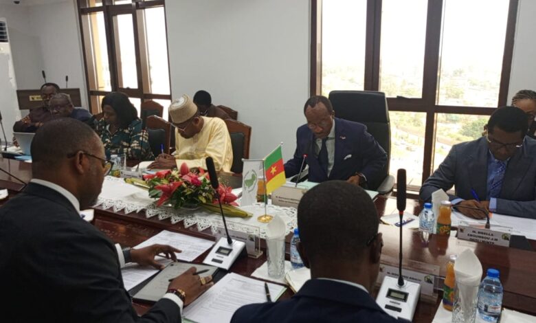 Cameroun - Exécution des projets routiers : le MINTP et la BAD tablent sur plus de performance 1