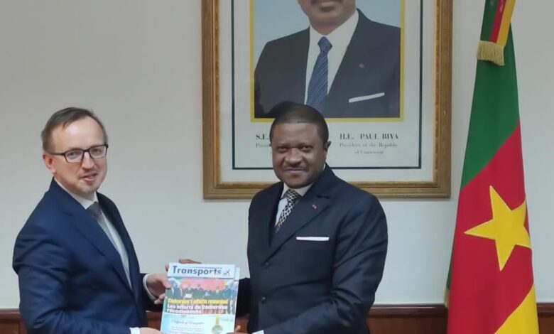 Investir au Cameroun : La Pologne montre de l'intérêt pour le secteur des transports  1