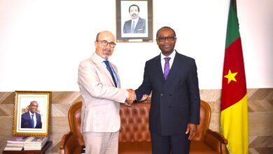 Cameroun- Financement des PME et l'économie sociale et l'artisanat: La BEI demande des comptes 19