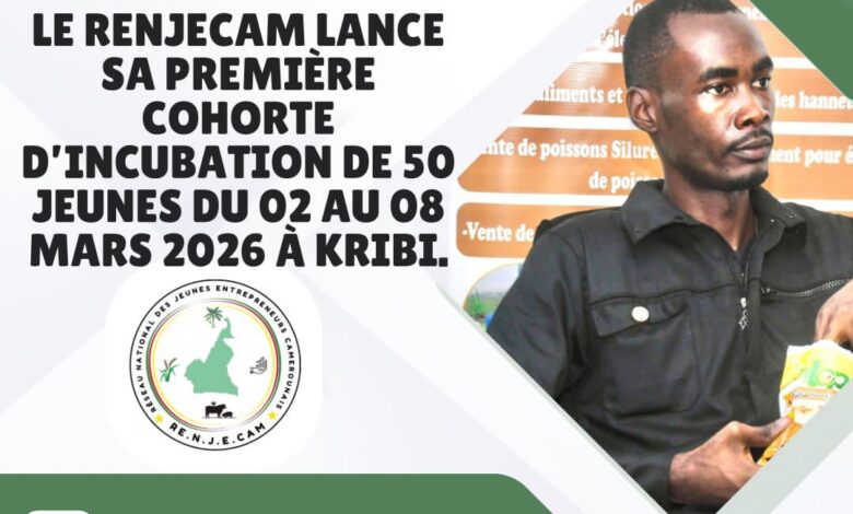 Entrepreneuriat agricole au Cameroun : le RENJECAM incubera 50 jeunes en mars 2026 1