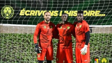 Ngapandouetnbu, Onana, Epassy : les gardiens camerounais actifs en Europe 5