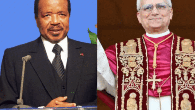 Visite du Pape Léon XIV au Cameroun : une médiation dans un contexte de crise 5
