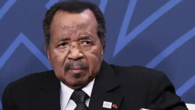 Cameroun : la gouvernance de Paul Biya face à la critique de l'immobilisme 8