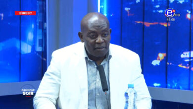 Visite papale au Cameroun : une tribune politique pour l'opposition 2