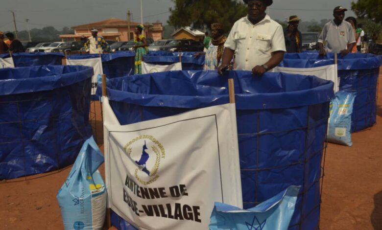 Cameroun - Promotion de la sécurité alimentaire : Michèle Convers déploie l'artillerie lourde à ESSE 11