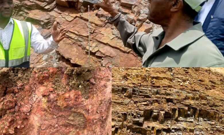 Mines et infrastructures : le pari industriel du Cameroun 1