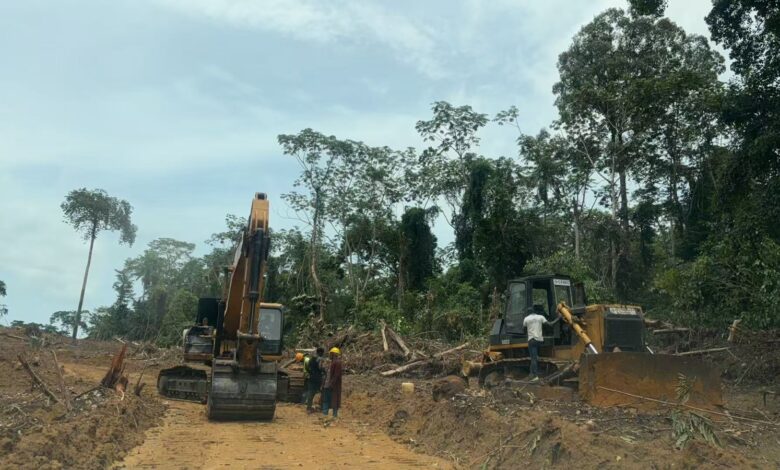 Cameroun - Autoroute Yaoundé–Douala (Phase 2) : les travaux de déforestage se poursuivent 1
