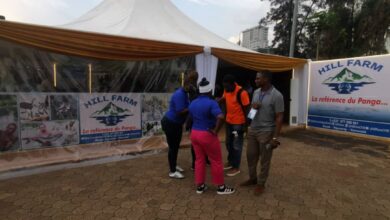Cameroun - Réduire la facture d’importation et alléger le panier de la ménagère : Hill Farm mise sur surgélation et la certification 4