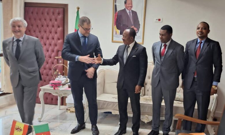 Cameroun - Construction des ponts en structures modulaires: l’expertise ...
