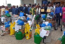 Cameroun - Ebolowa : la sécurité alimentaire garantie grâce aux lauréats du concours Paul Ngulu Evina 6